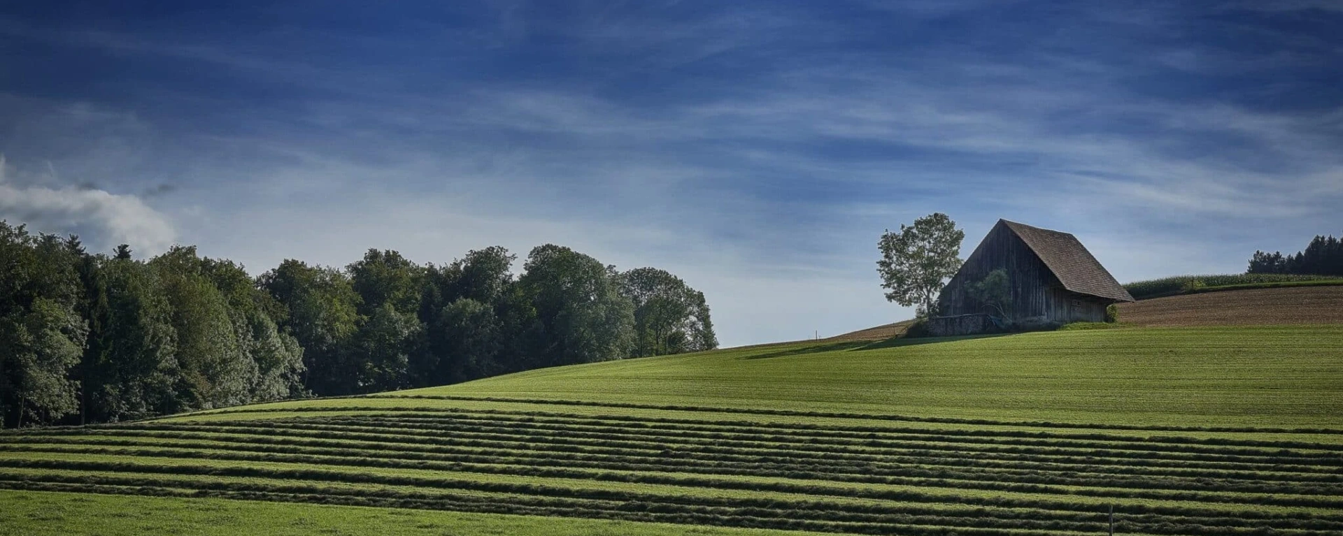 Análise: Produtor rural na reforma tributária: menos tributo, mais competitividade