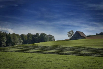 Análise: Produtor rural na reforma tributária: menos tributo, mais competitividade