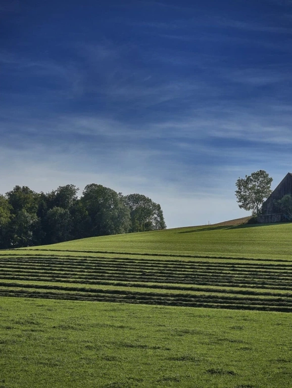 Análise: Produtor rural na reforma tributária: menos tributo, mais competitividade